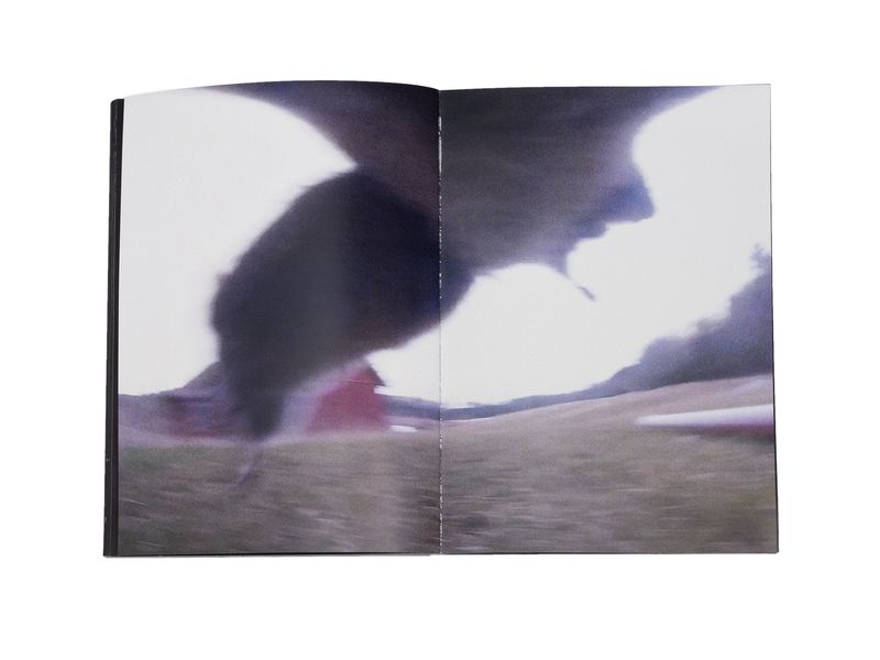 Photobook My Nonhuman Friends