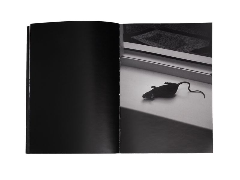 Photobook My Nonhuman Friends