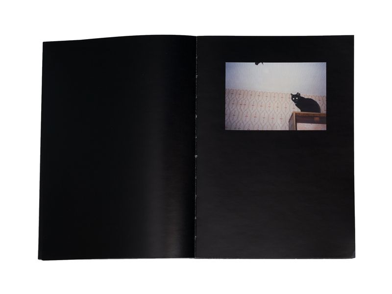 Photobook My Nonhuman Friends