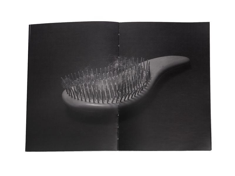 Photobook My Nonhuman Friends