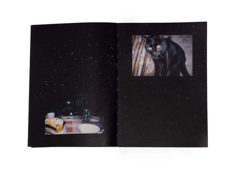 Photobook My Nonhuman Friends