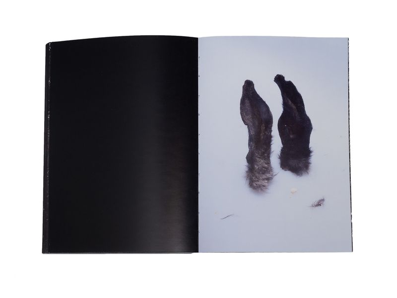 Photobook My Nonhuman Friends