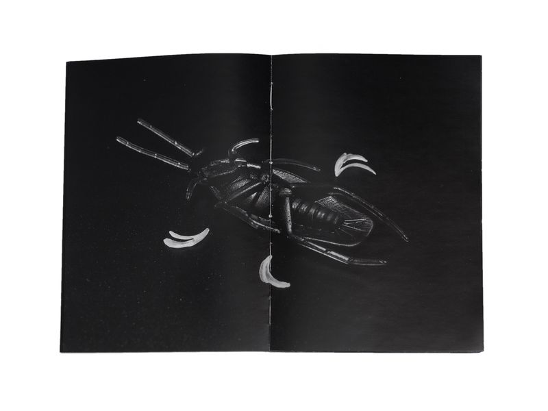 Photobook My Nonhuman Friends