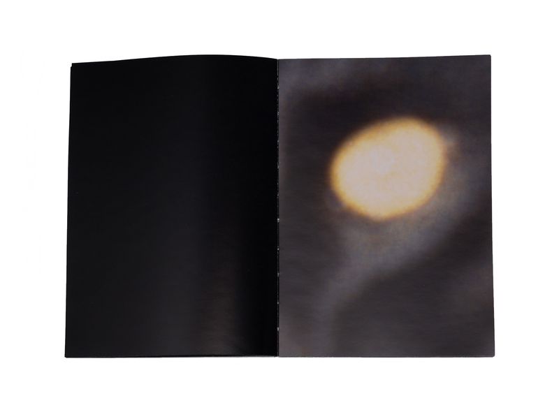 Photobook My Nonhuman Friends