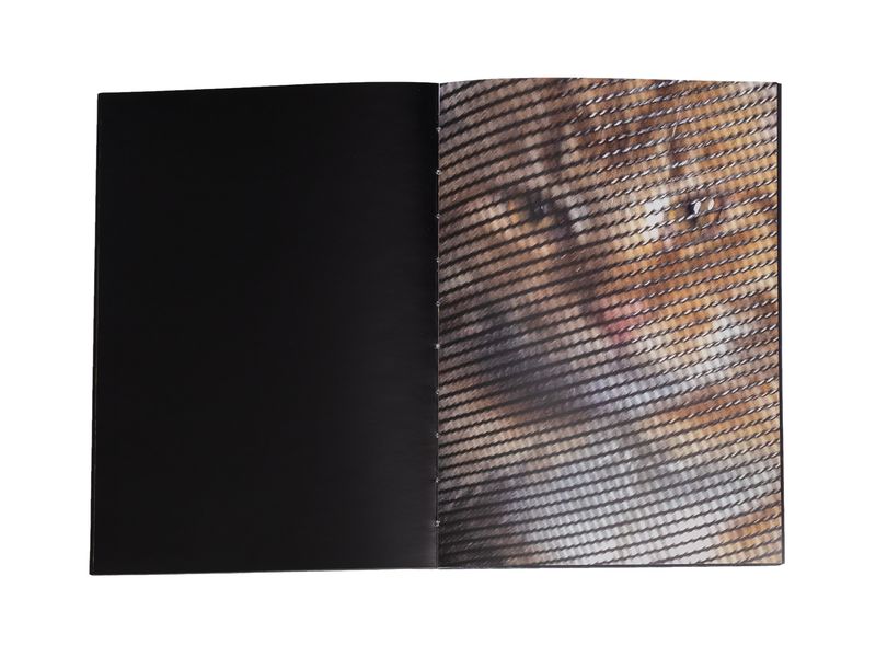 Photobook My Nonhuman Friends