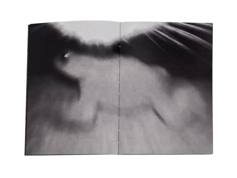 Photobook My Nonhuman Friends