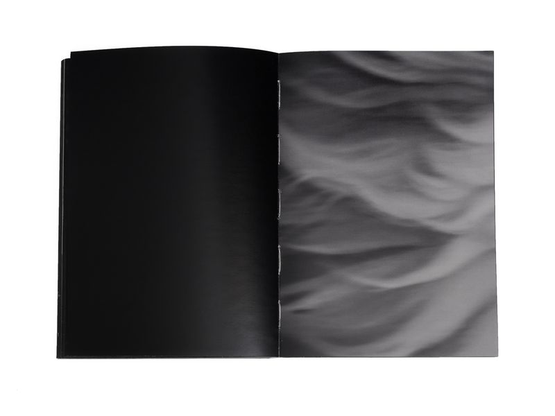 Photobook My Nonhuman Friends