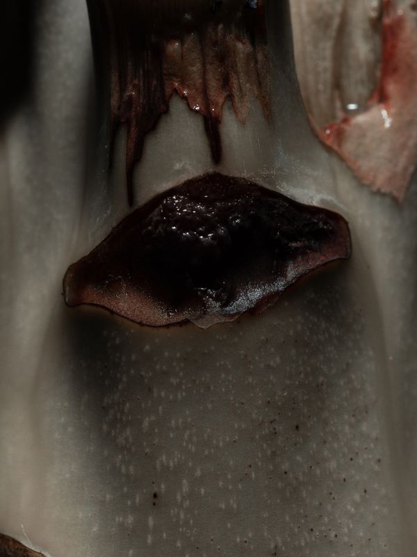 © Nika Sandler - Image from the Plant and Human Pain photography project