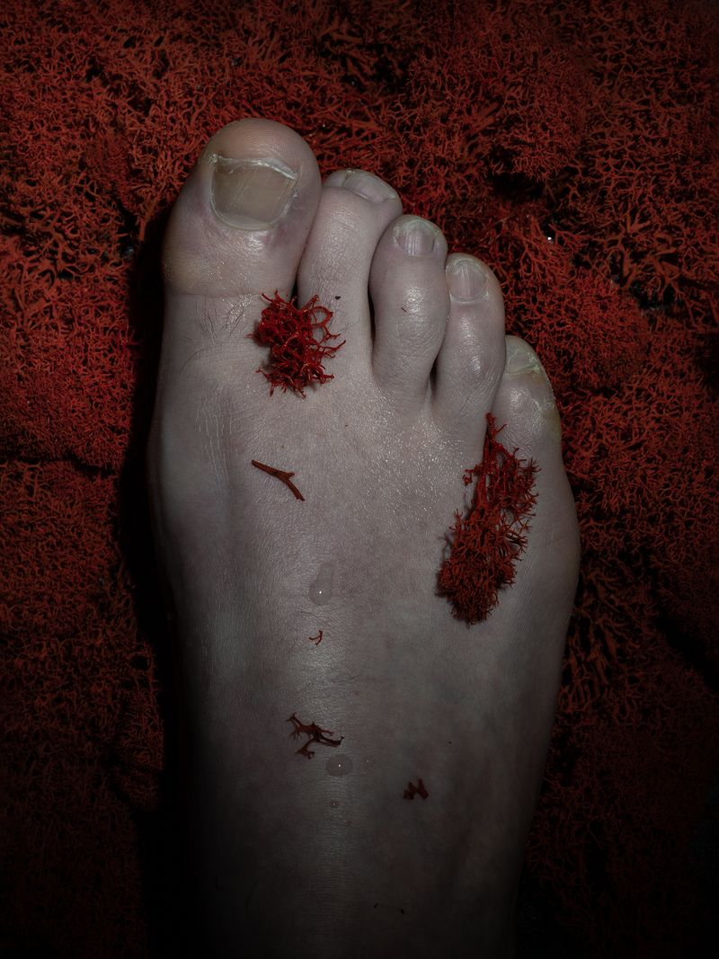 © Nika Sandler - Image from the Plant and Human Pain photography project