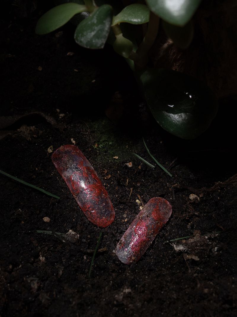 © Nika Sandler - Image from the Plant and Human Pain photography project