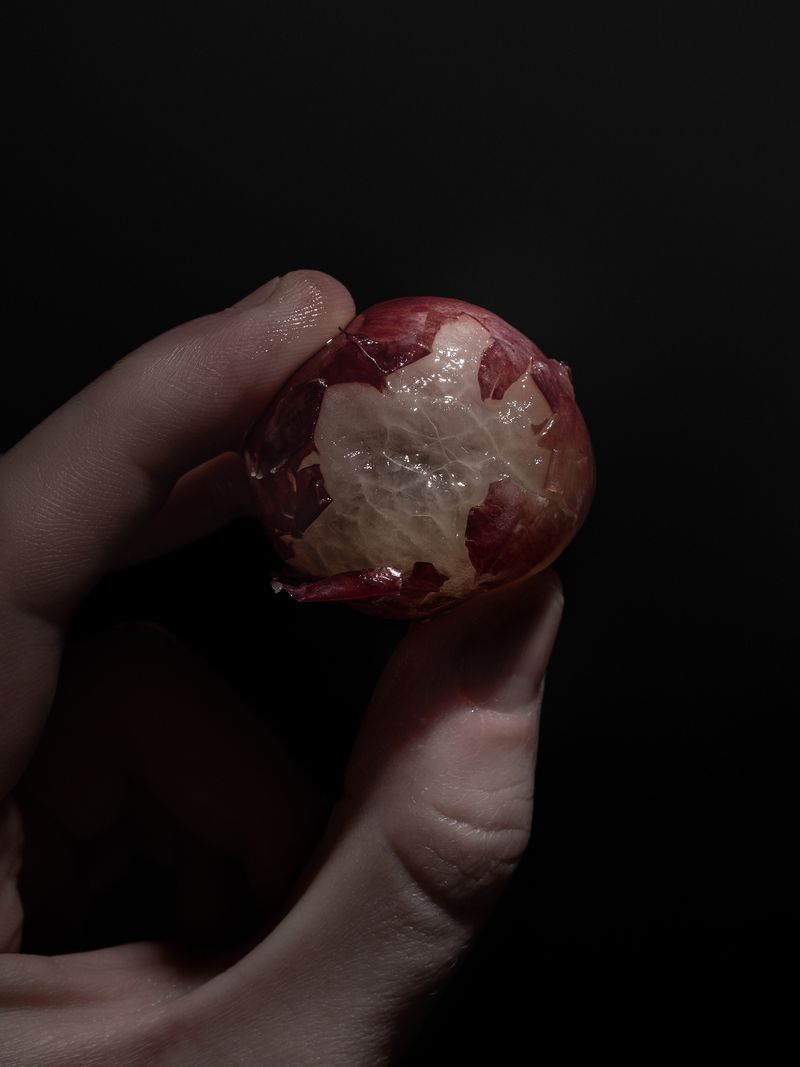 © Nika Sandler - Image from the Plant and Human Pain photography project