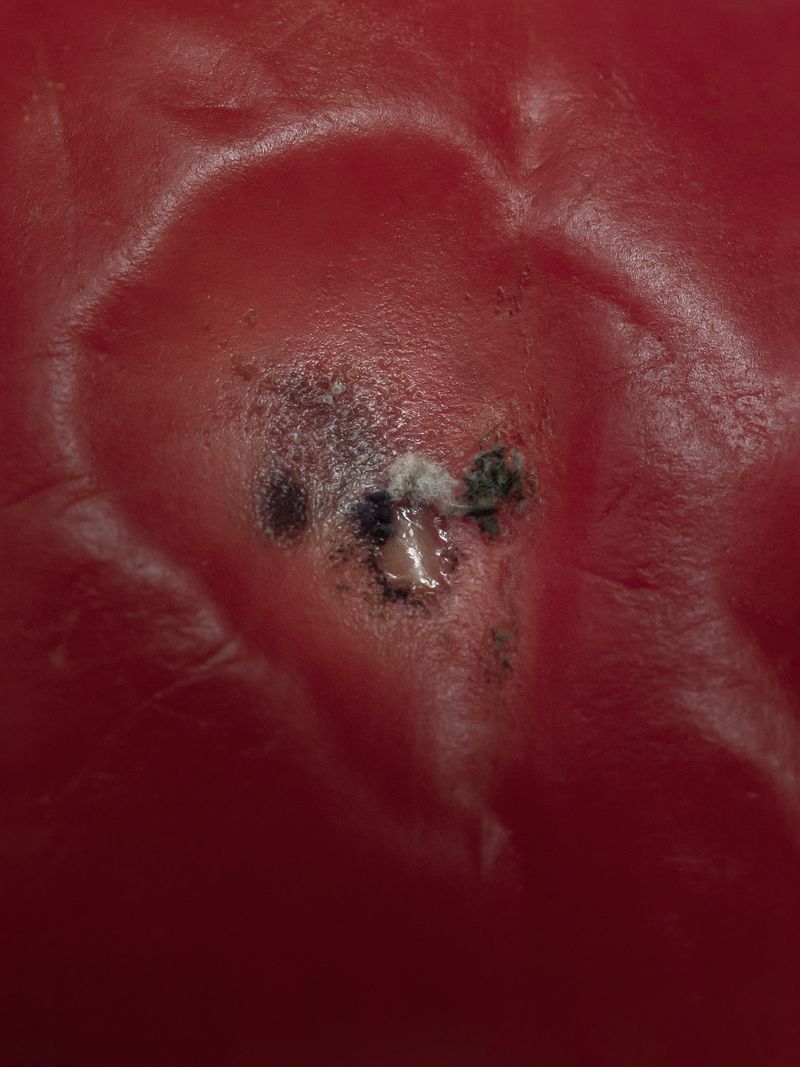 © Nika Sandler - Image from the Plant and Human Pain photography project