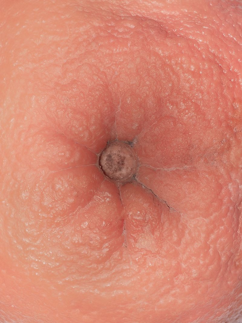 © Nika Sandler - Image from the The World of Hedonia photography project