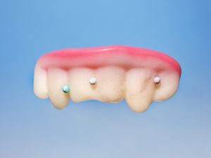 The World of Hedonia