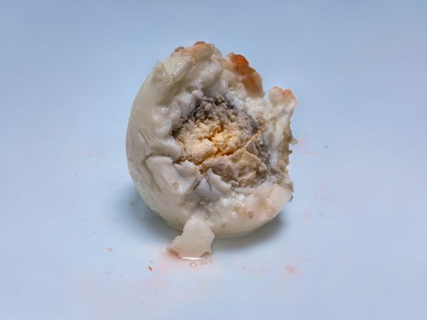 © Nika Sandler - Image from the A History of Teeth photography project