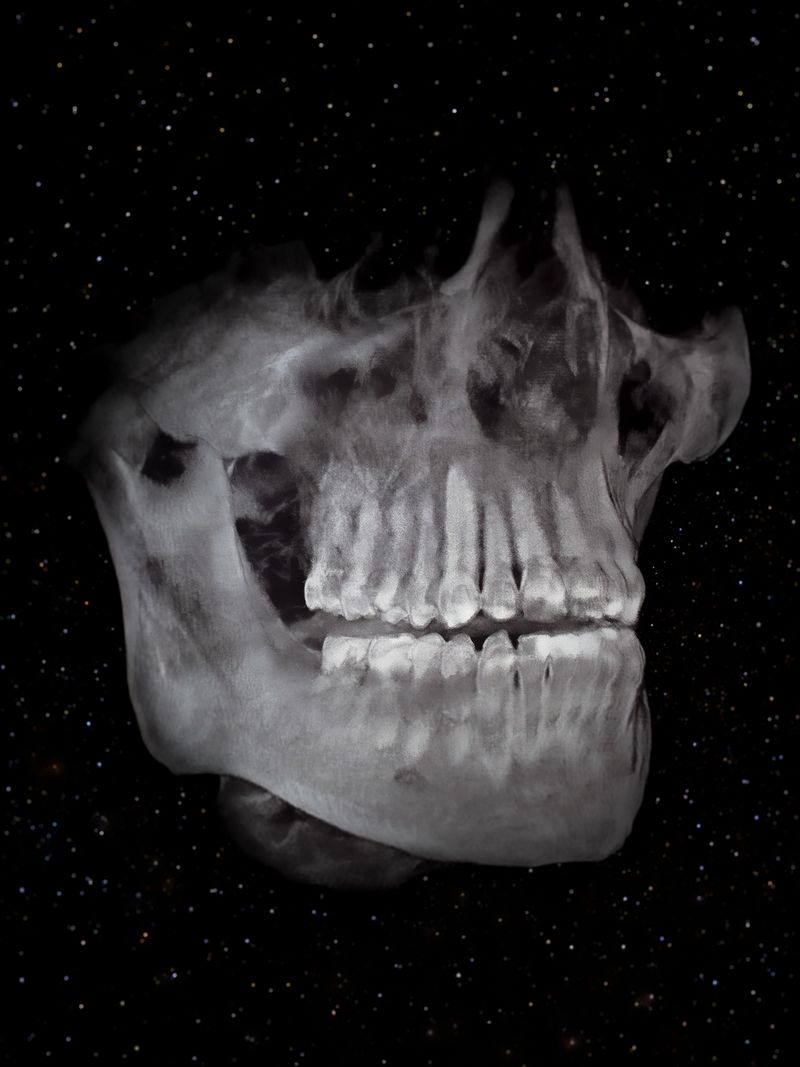 © Nika Sandler - Image from the A History of Teeth photography project