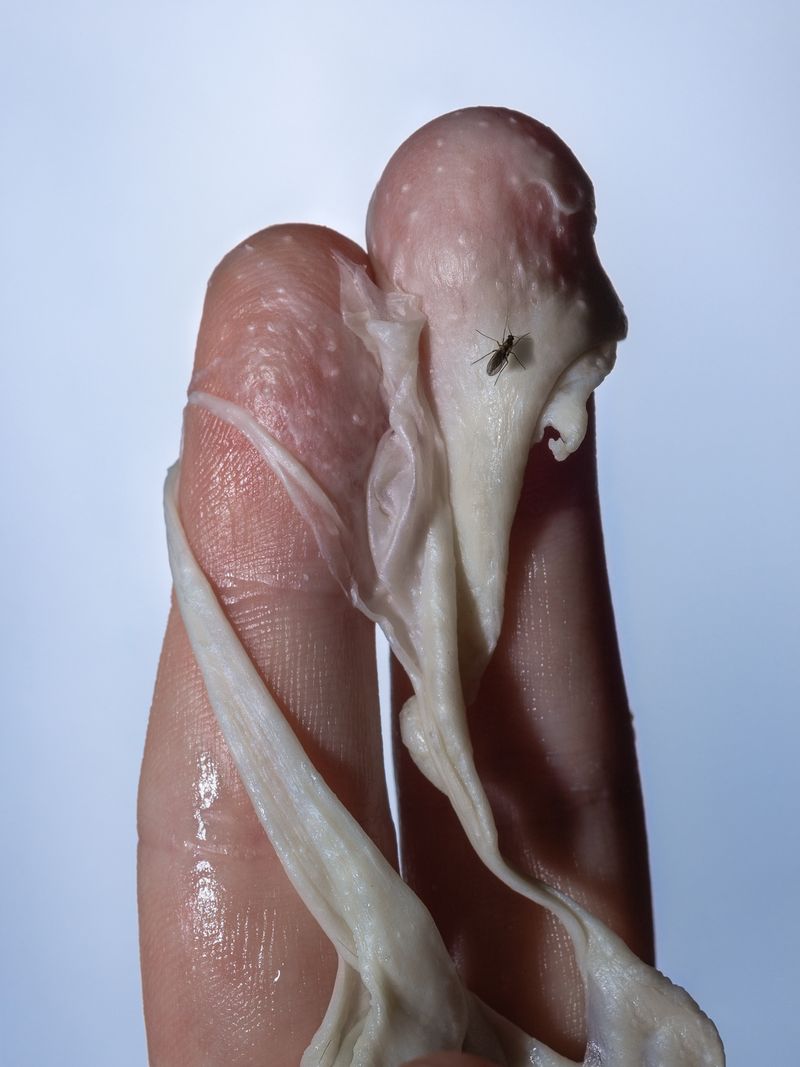 © Nika Sandler - Image from the A History of Teeth photography project