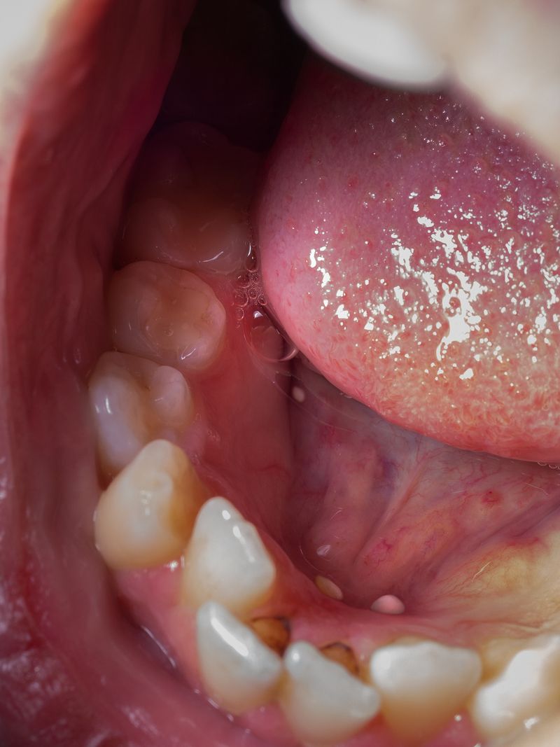 © Nika Sandler - Image from the A History of Teeth photography project