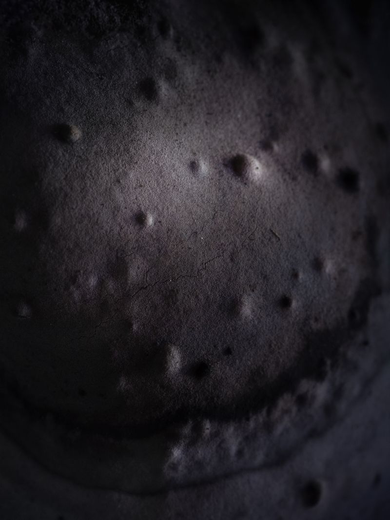 © Nika Sandler - Image from the Mycophilia photography project