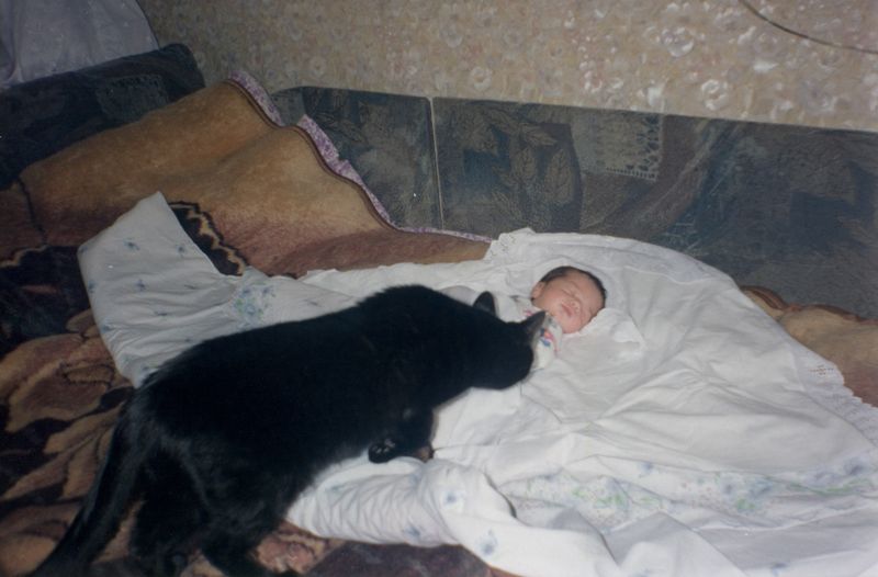 © Nika Sandler - Image from the My Nonhuman Friends photography project