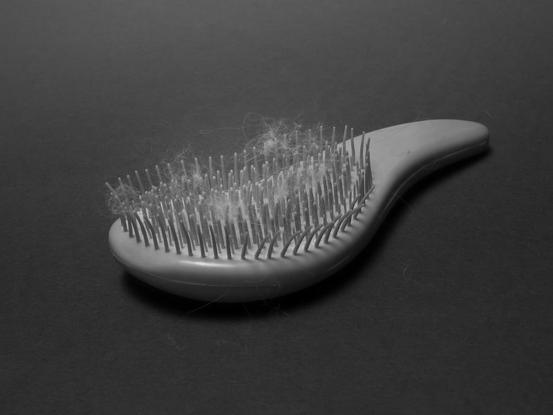 © Nika Sandler - Image from the My Nonhuman Friends photography project