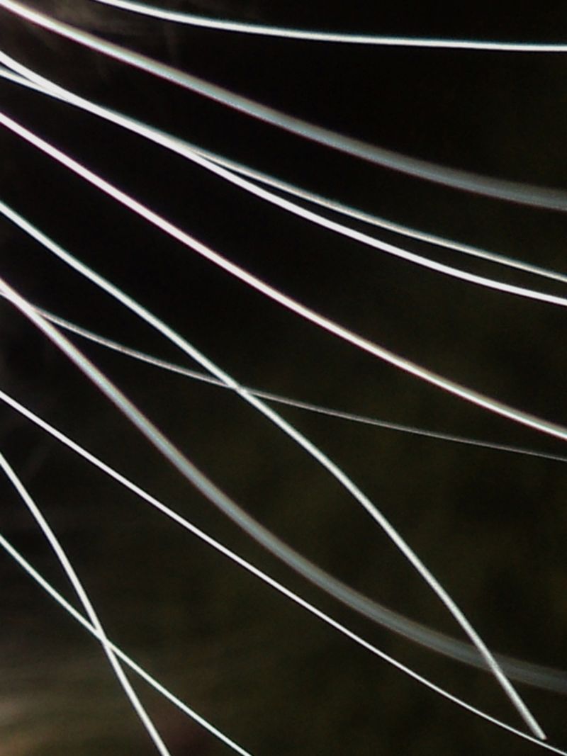 © Nika Sandler - Image from the My Nonhuman Friends photography project