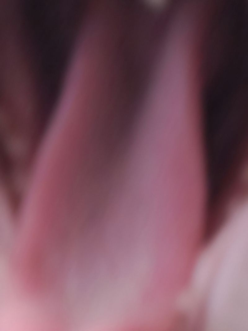 © Nika Sandler - Image from the My Nonhuman Friends photography project