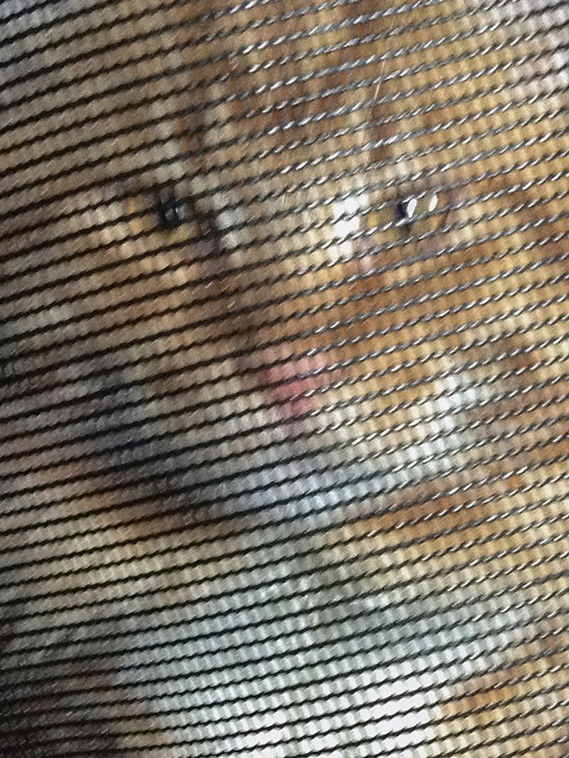 © Nika Sandler - Image from the My Nonhuman Friends photography project