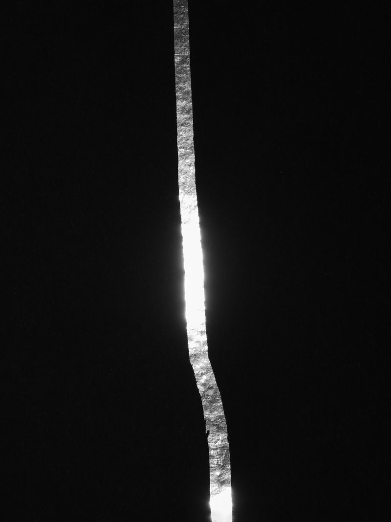 © Nika Sandler - Image from the My Nonhuman Friends photography project