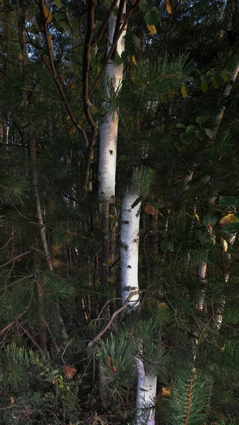 © Nika Sandler - Image from the The Black Sun of Autocracy photography project