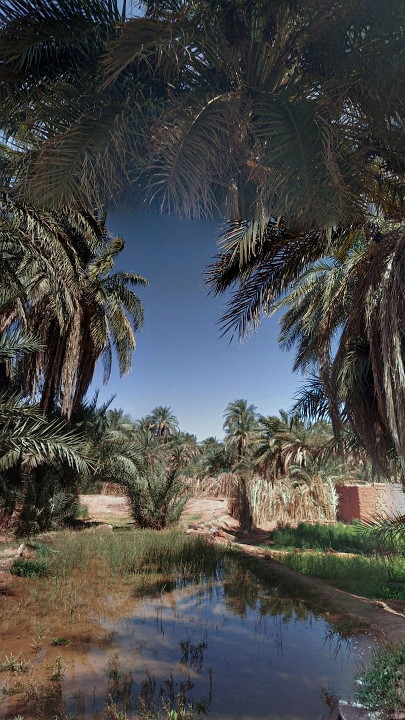 © Nika Sandler - Image from the The Black Sun of Autocracy photography project