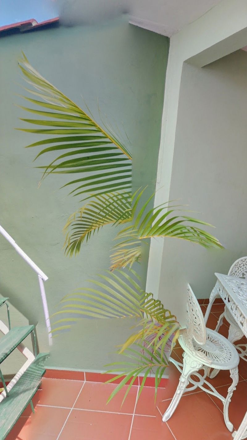 © Nika Sandler - Image from the The Black Sun of Autocracy photography project