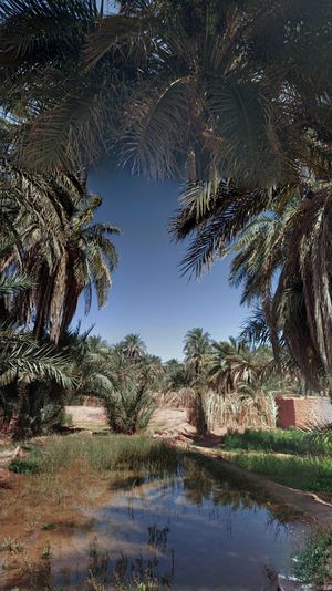 The Black Sun of Autocracy