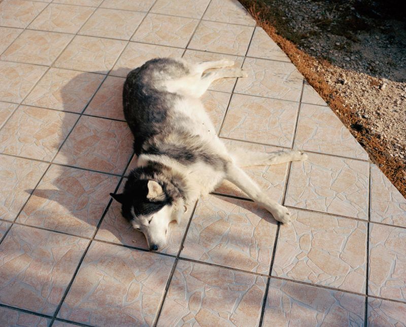 © Thomas Bouquin - Image from the Lou Mistrau photography project