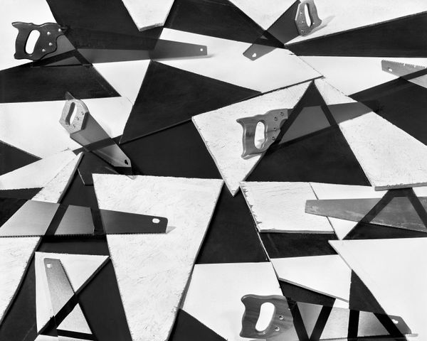 © Shawn Bush - Razed Landscape, 2022, 24x19 inches, Silver Gelatin Print in artist made Walnut Frame