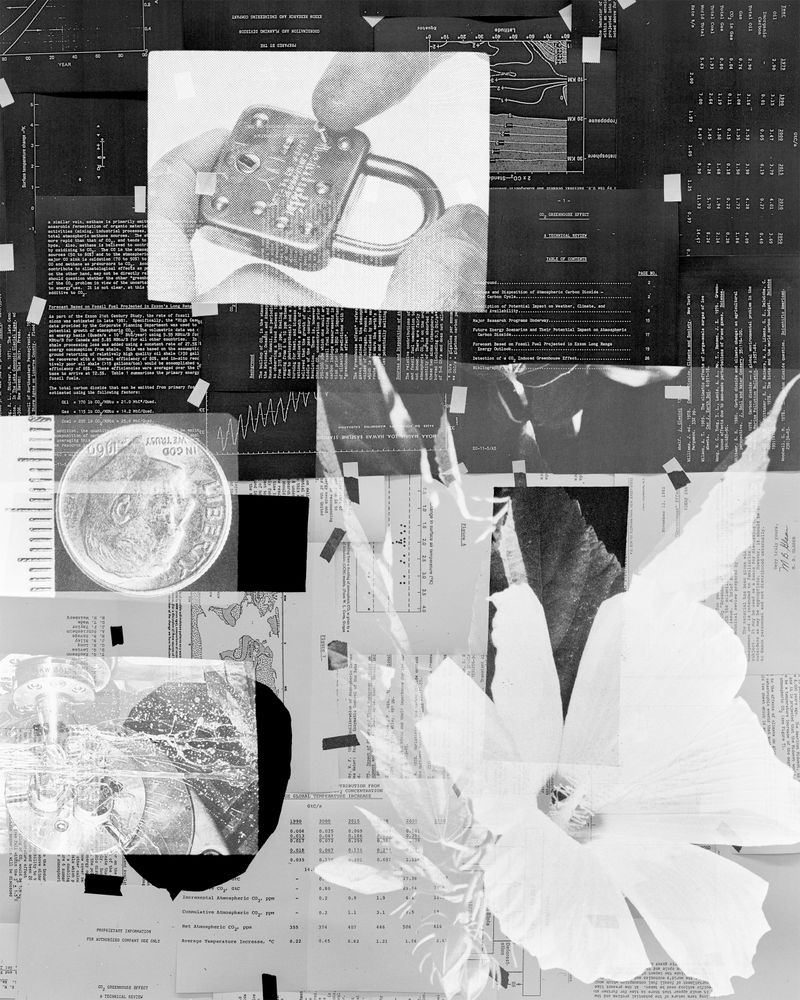 © Shawn Bush - Image from the Land, Sea & Air photography project