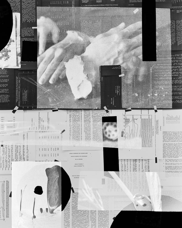 © Shawn Bush - Image from the Land, Sea & Air photography project