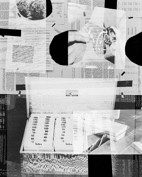 © Shawn Bush - Image from the Land, Sea & Air photography project