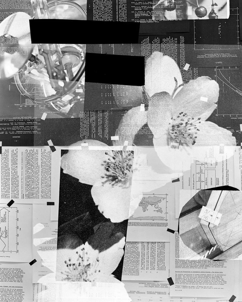 © Shawn Bush - Image from the Land, Sea & Air photography project