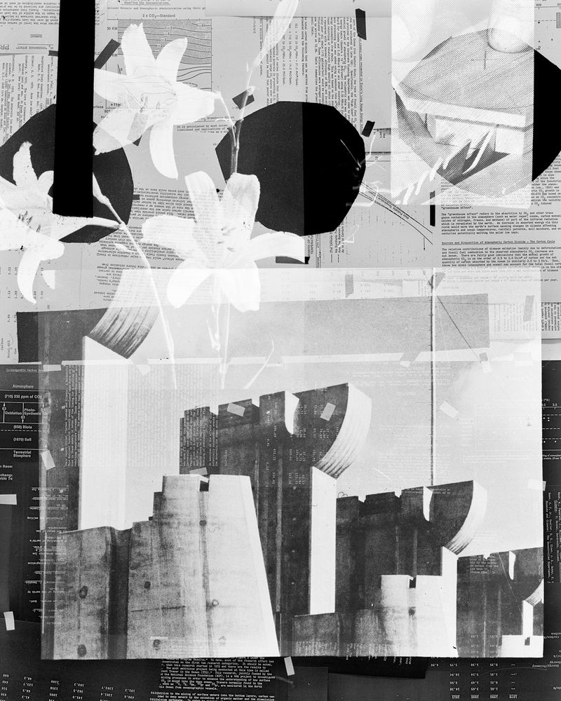 © Shawn Bush - Image from the Land, Sea & Air photography project