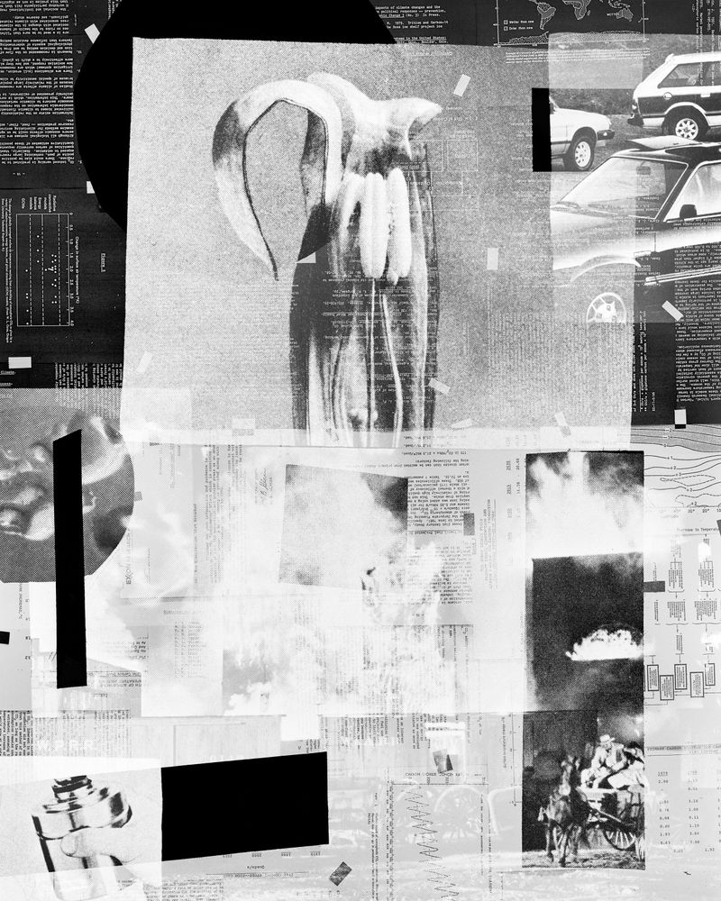 © Shawn Bush - Image from the Land, Sea & Air photography project