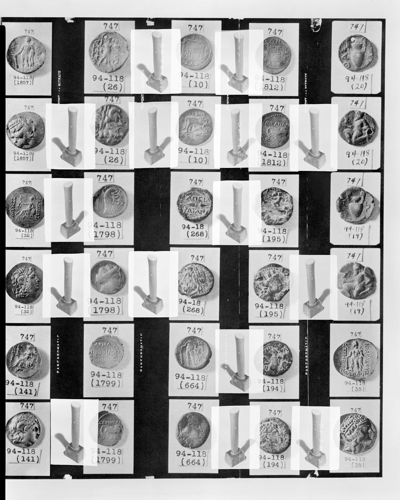 © Shawn Bush - Pledge (Allegiance), 2023