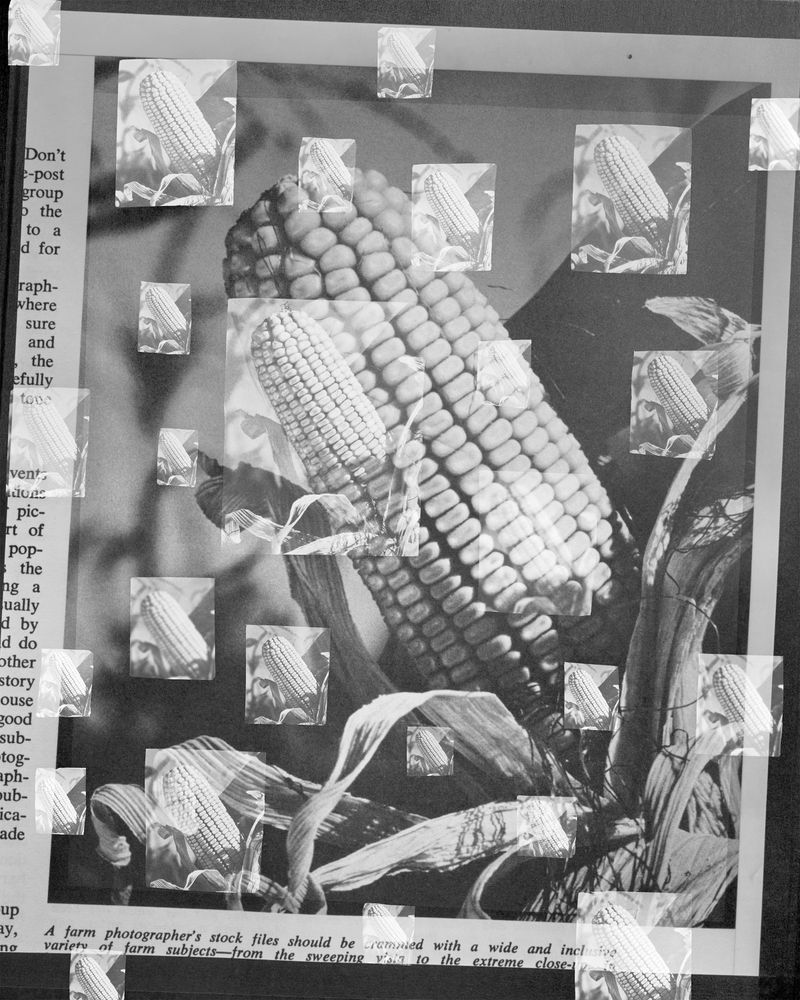 © Shawn Bush - Rape & Pillage, 2022