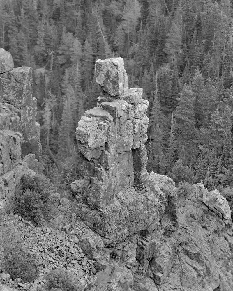 © Shawn Bush - Man, 2024