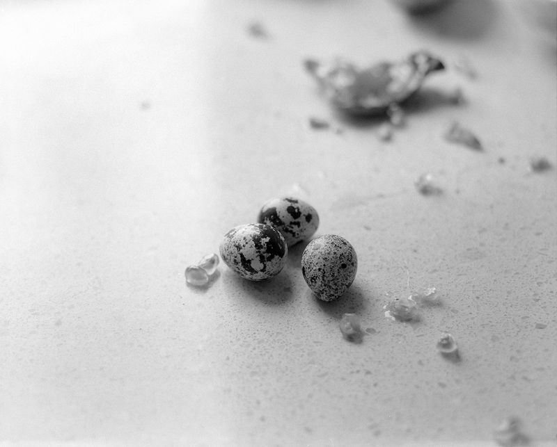 © Siqi Li - Offsprings, 2021