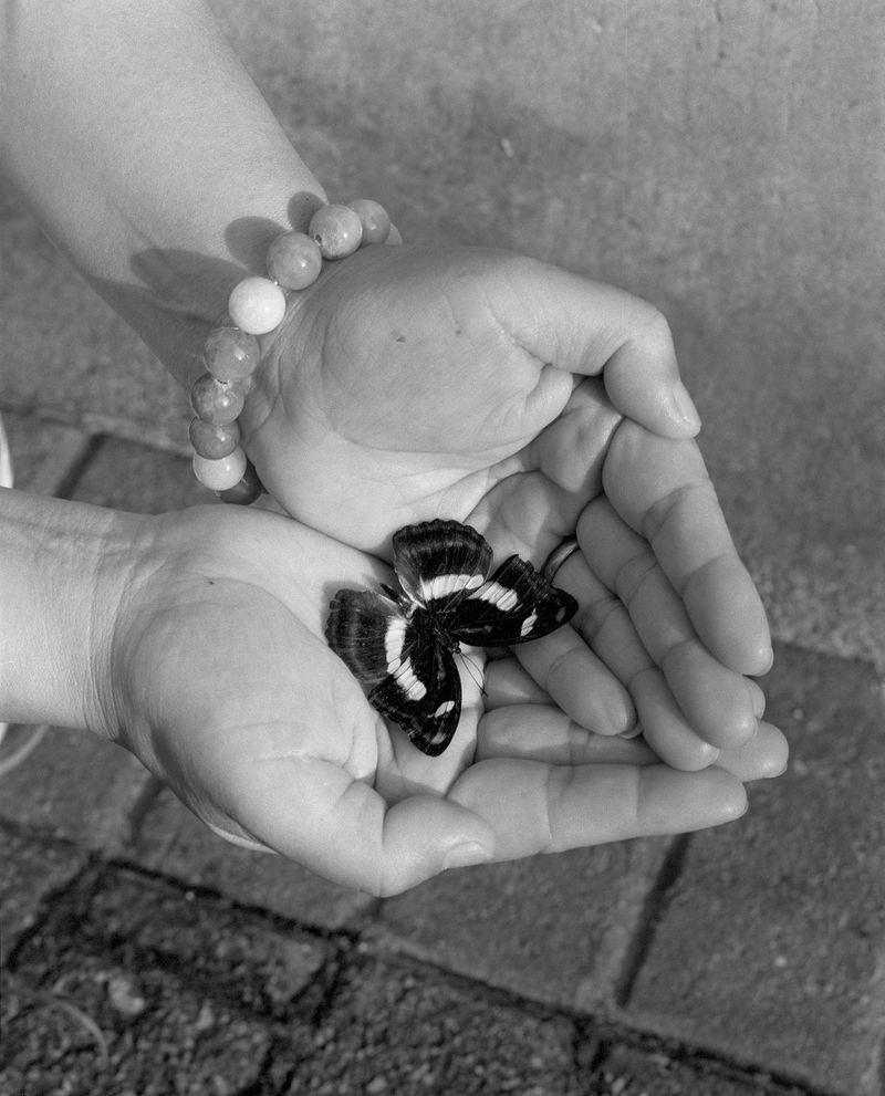 © Siqi Li - The Death Of A Beautiful Thing, 2021