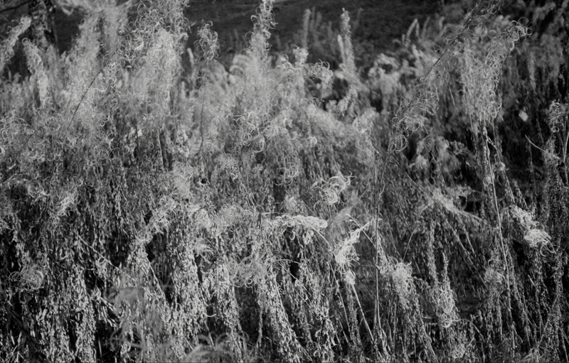 © Florence Cuschieri - Image from the La ronde des hirondelles photography project