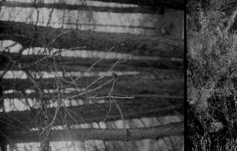 © Florence Cuschieri - Image from the La ronde des hirondelles photography project