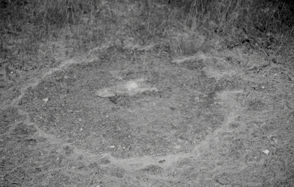 © Florence Cuschieri - Image from the La ronde des hirondelles photography project