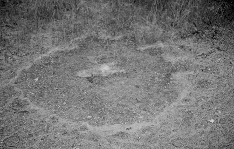 © Florence Cuschieri - Image from the La ronde des hirondelles photography project